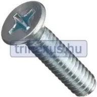   Šroub 10 nerezová ocel s hvězdicovou hlavou 4 x 45 mm Blistr