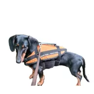 Plovoucí pomůcka pro psy 15-40 kg oranžová